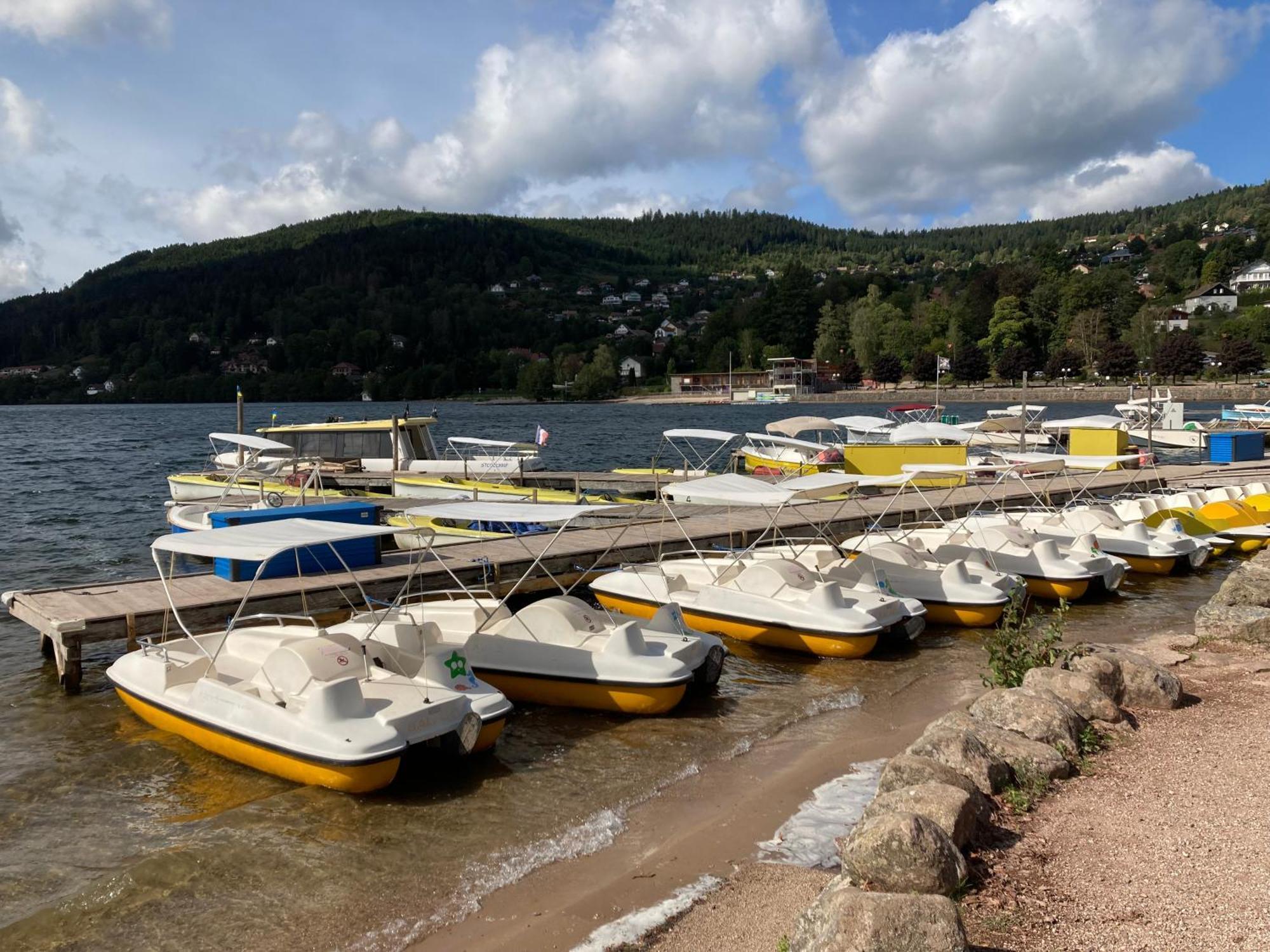 Le Chamois Apartment Gerardmer Ngoại thất bức ảnh